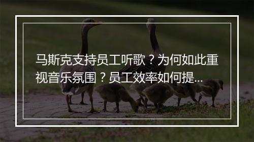 马斯克支持员工听歌？为何如此重视音乐氛围？员工效率如何提升？