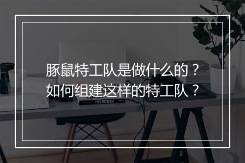 豚鼠特工队是做什么的？如何组建这样的特工队？