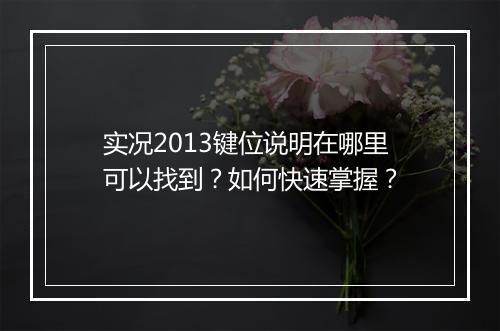 实况2013键位说明在哪里可以找到？如何快速掌握？