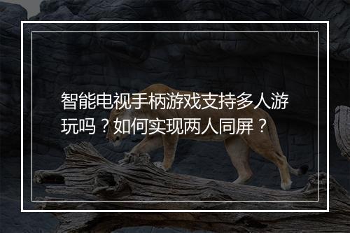 智能电视手柄游戏支持多人游玩吗？如何实现两人同屏？