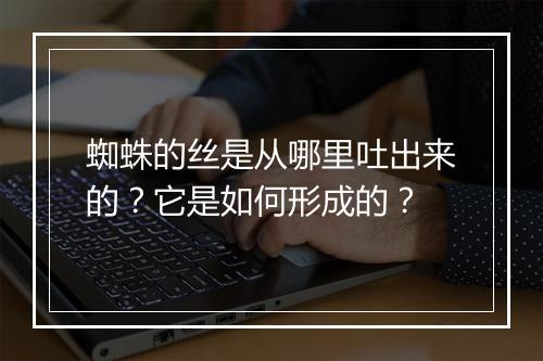 蜘蛛的丝是从哪里吐出来的?它是如何形成的?