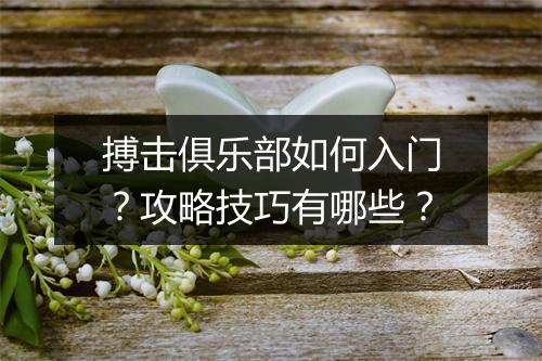 搏击俱乐部如何入门？攻略技巧有哪些？