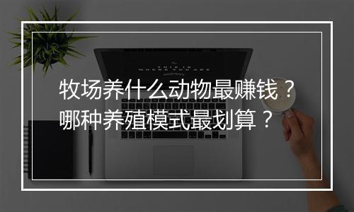牧场养什么动物最赚钱?哪种养殖模式最划算?