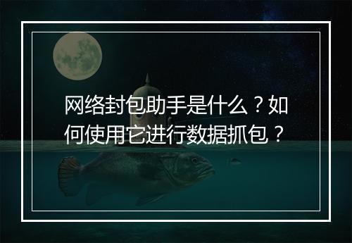 网络封包助手是什么？如何使用它进行数据抓包？