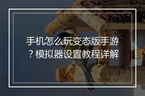 手机怎么玩变态版手游？模拟器设置教程详解