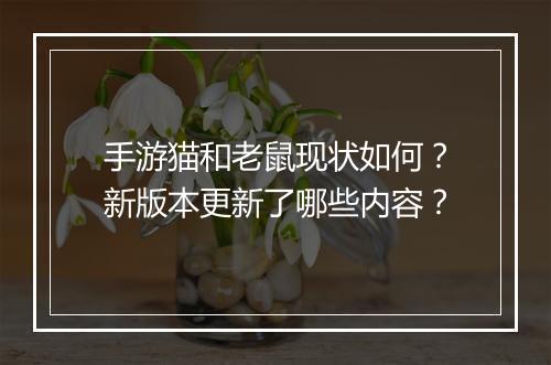 手游猫和老鼠现状如何？新版本更新了哪些内容？