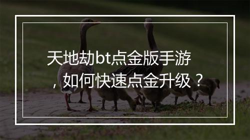 天地劫bt点金版手游,如何快速点金升级?
