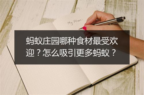 蚂蚁庄园哪种食材最受欢迎?怎么吸引更多蚂蚁?