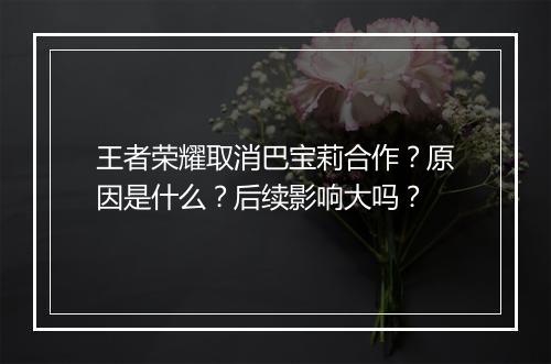 王者荣耀取消巴宝莉合作?原因是什么?后续影响大吗?