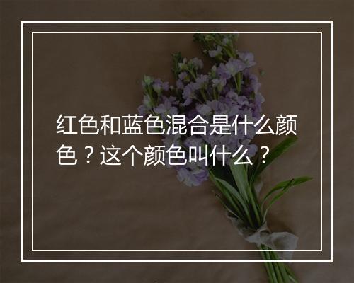 红色和蓝色混合是什么颜色？这个颜色叫什么？