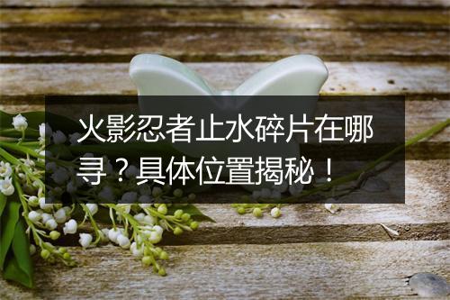 火影忍者止水碎片在哪寻？具体位置揭秘！