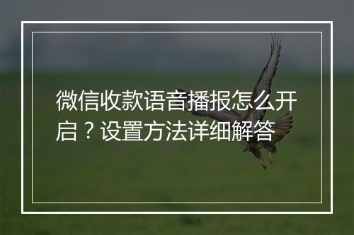微信收款语音播报怎么开启？设置方法详细解答