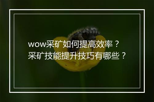 wow采矿如何提高效率?采矿技能提升技巧有哪些?