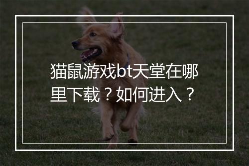 猫鼠游戏bt天堂在哪里下载?如何进入?