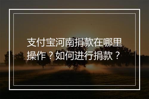 支付宝河南捐款在哪里操作?如何进行捐款?