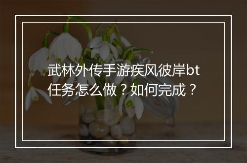 武林外传手游疾风彼岸bt任务怎么做?如何完成?