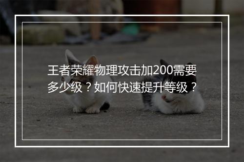 王者荣耀物理攻击加200需要多少级？如何快速提升等级？