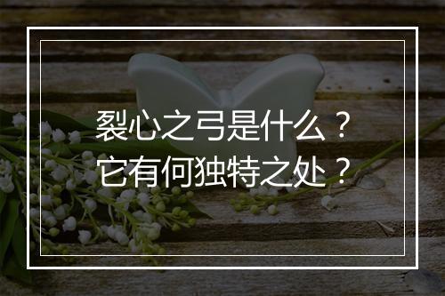 裂心之弓是什么?它有何独特之处?