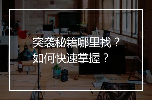 突袭秘籍哪里找?如何快速掌握?