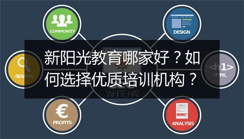新阳光教育哪家好？如何选择优质培训机构？