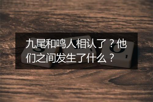 九尾和鸣人相认了？他们之间发生了什么？