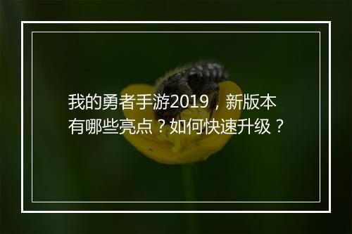 我的勇者手游2019,新版本有哪些亮点?如何快速升级?