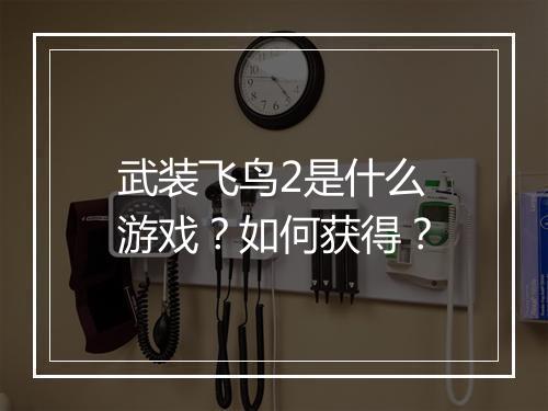 武装飞鸟2是什么游戏?如何获得?