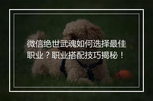微信绝世武魂如何选择最佳职业？职业搭配技巧揭秘！