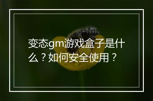 变态gm游戏盒子是什么？如何安全使用？