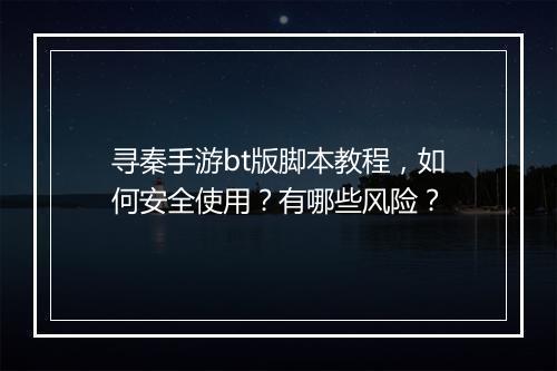 寻秦手游bt版脚本教程,如何安全使用?有哪些风险?