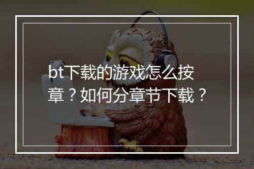 bt下载的游戏怎么按章?如何分章节下载?