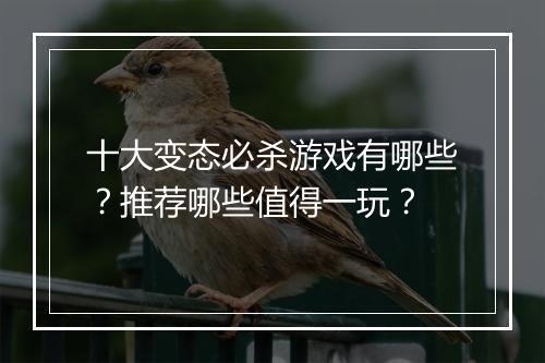 十大变态必杀游戏有哪些?推荐哪些值得一玩?