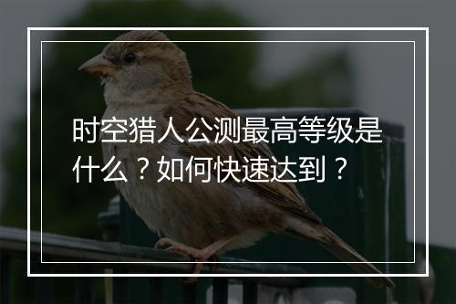 时空猎人公测最高等级是什么？如何快速达到？