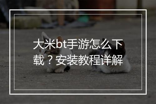 大米bt手游怎么下载?安装教程详解