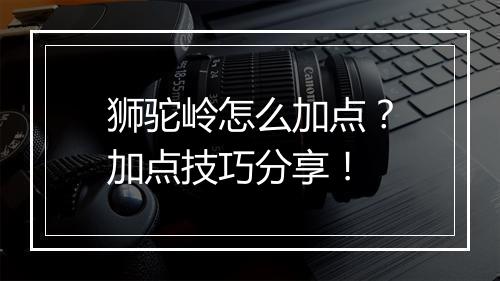 狮驼岭怎么加点?加点技巧分享!