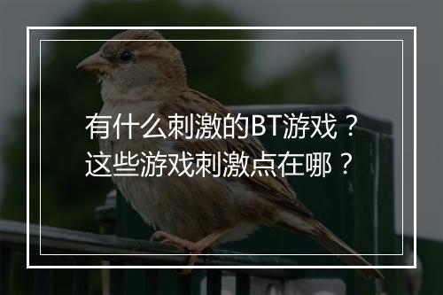 有什么刺激的BT游戏?这些游戏刺激点在哪?