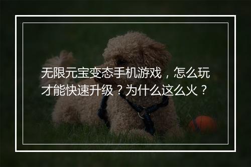 无限元宝变态手机游戏,怎么玩才能快速升级?为什么这么火?