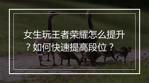 女生玩王者荣耀怎么提升？如何快速提高段位？
