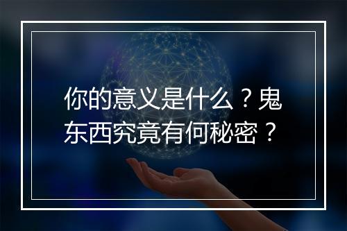 你的意义是什么?鬼东西究竟有何秘密?