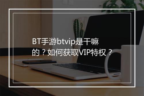 BT手游btvip是干嘛的?如何获取VIP特权?