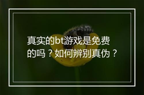 真实的bt游戏是免费的吗?如何辨别真伪?
