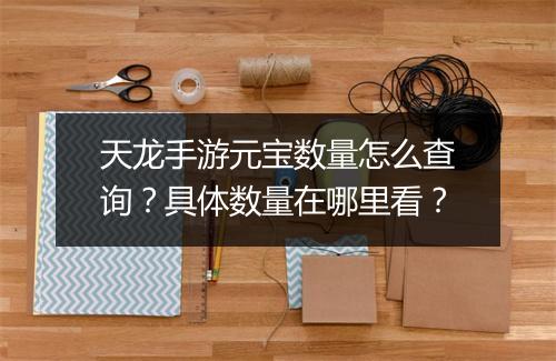 天龙手游元宝数量怎么查询？具体数量在哪里看？