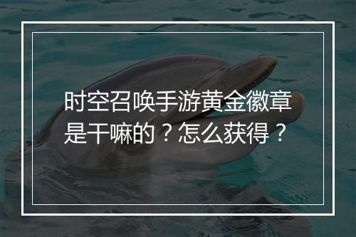 时空召唤手游黄金徽章是干嘛的？怎么获得？