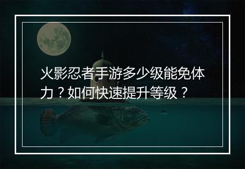 火影忍者手游多少级能免体力？如何快速提升等级？