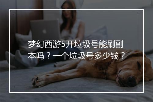 梦幻西游5开垃圾号能刷副本吗？一个垃圾号多少钱？
