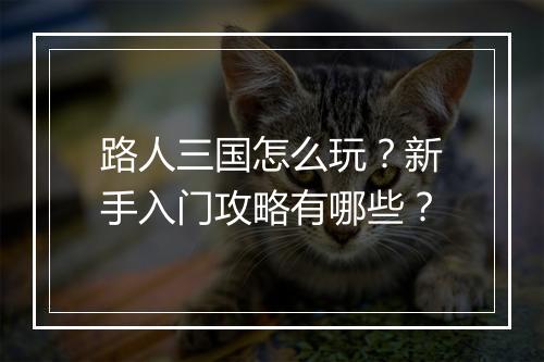 路人三国怎么玩?新手入门攻略有哪些?