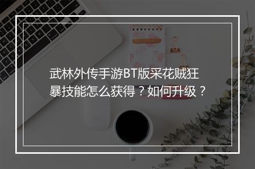 武林外传手游BT版采花贼狂暴技能怎么获得?如何升级?