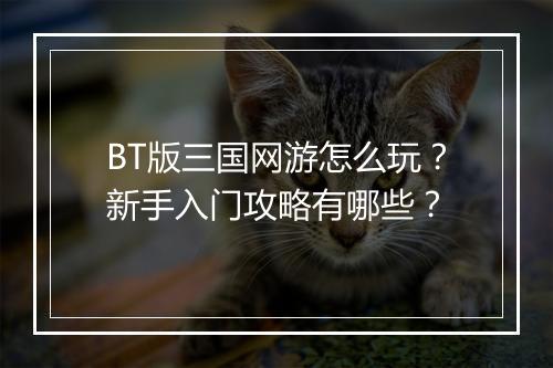 BT版三国网游怎么玩？新手入门攻略有哪些？