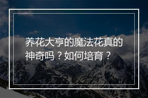 养花大亨的魔法花真的神奇吗?如何培育?