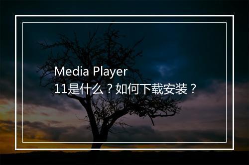 Media Player 11是什么?如何下载安装?